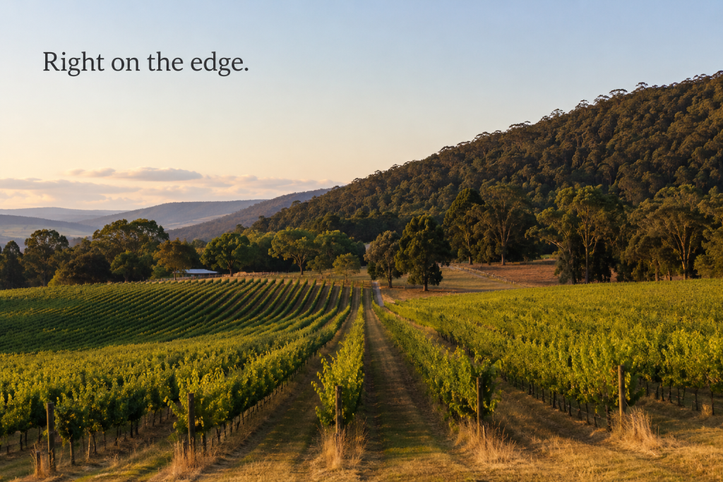 wedding reception venues dandenong ranges
